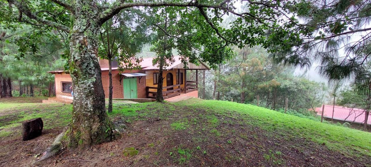 Cabaña La Vía Láctea El Pacifico Exterior foto